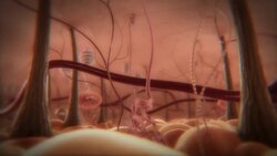 A 3D animation depicts a dinosaur's sense of smell. Stock Footage