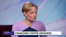 Coffee Gets A Jolt to Close 2019 As Illycaffe Seeks Proper Price News Clip