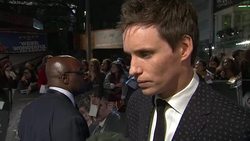 London Premiere Of 'Fantastic Beasts and Where to Find Them' News Clip