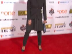 Karen Gibson Roc at BFCA Celebration of Black Cinema West Hollywood, CA January 7, 2014 Stock Footage