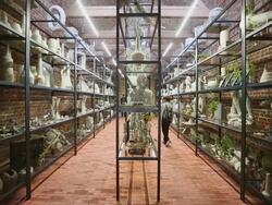 Opening Of The New Serpentine Sackler Gallery Designed By Zaha Hadid Stock Footage