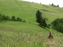 Cowgirls race Stock Footage