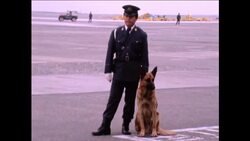 GS 14 10 81 ARAFAT ARRIVING TO TOKYO AND MEETING JAPANESE OFFIICALS Instructional Video