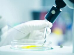 Scientist and bio lab experiment Stock Footage