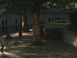 Smithsonian National Zoo Re-Opens After Government Shutdown Stock Footage