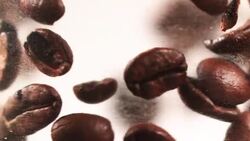 Falling coffee beans Stock Footage