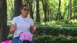 VOICED : Los mini cerdos la mascota de moda en Mexico News Clip