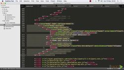 Building a Responsive Application with Bootstrap (Video 12) Instructional Video
