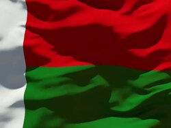 Madagascar Flag Stock Footage