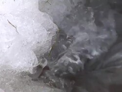 HD: A stream in the winter Stock Footage