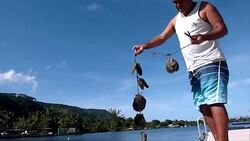 VOICED : Las perlas de Tahiti vulnerables al calentamiento global News Clip