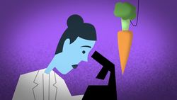 TED-ED: Is there a reproducibility crisis in science? - Matt Anticole Instructional Video