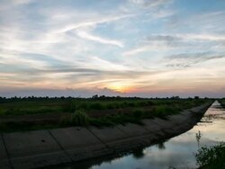 Irrigation System. Stock Footage