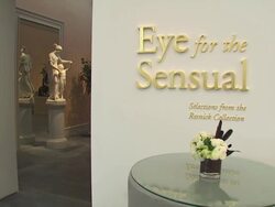 ATMOSPHERE: LACMA Presents 'The Unmasking' at the LACMA Presents 'The Unmasking' at Los Angeles CA. (Footage by WireImage Video/GettyImages) Stock Footage