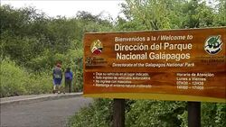 VOICED : Diego la tortuga macho que salvo a su especie en las Galapagos News Clip