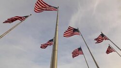 Flags, Liberty State Park, New Jersey, New York, USA Stock Footage