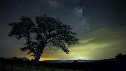Milky Way Tree and Clouds Stock Footage