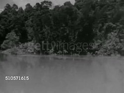 1966: ELDORADO, MISIONES, ARGENTINA: Angled WS (POV Moving boat) on Rio Parana w/ jungle along river. TU WS Passing trees, sun flare through branches. WS Moving slowly on out back river, passing vegetation in middle. Instructional Video