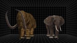 New DNA technology might bring back the woolly mammoth Instructional Video