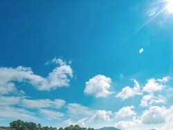 Farm Strawberries Stock Footage