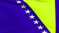 Flag of Bosnia and Herzegovina Stock Footage