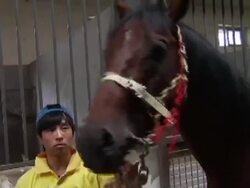 Chinese Billionaire Racehorse Owner Dreams of Success News Clip