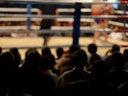 Thai Boxing Stock Footage