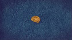 TED-ED: What percentage of your brain do you use? - Richard E. Cytowic Instructional Video