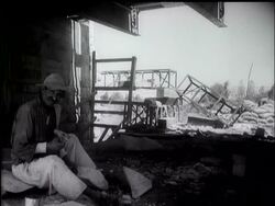 PALESTINE NEWS News Clip