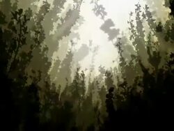 FORSYTHIA : black - LOOP Stock Footage