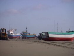 "JCB and colourful wooden boats sitting on flat sandy beach, men  and dogs milling around, Trujillo, Peru [PerÃƒÂº]" Stock Footage