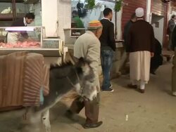MS PAN Shot of man walking with donkey through marketplace in downtown / Casablanca, Centro, Morocco Stock Footage