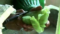 China: Arts Instructional Video