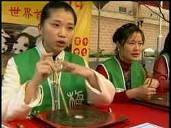 Fortune teller predicts future for  pets as Year of the Dog nears Instructional Video