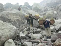  MS Miners climbing the Ijen volcano crater carrying solid sulfur / Ijen, Java, Indonesia Stock Footage