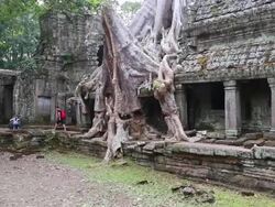 Angkor, Preah Khan temple, trees over the buildings Stock Footage
