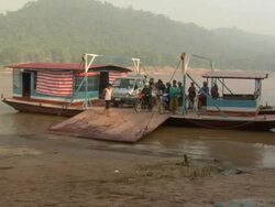 MS Two women harvesting rice northeast of Hanoi / Vietnam Stock Footage