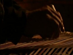 CU hands strumming Kanun, an Arabic musical instrument, Syria (sound available) Stock Footage