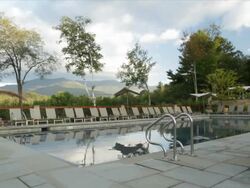 hotel resort lodge pool pool deck deck chairs flowers plants Stock Footage