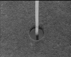 ONE FOR THE COURSE News Clip