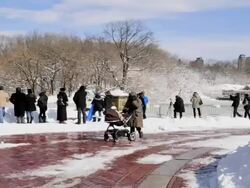 February 2013 winter storm, Central Park Fountain Stock Footage