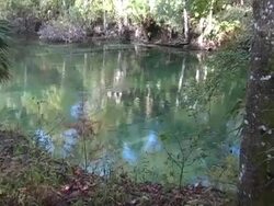 Natural Spring Stock Footage