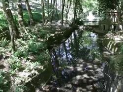 Sintra, Pena park and National Palace, nature trail, lakes and Duck-house Stock Footage