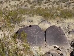 Petroglyphs Stock Footage