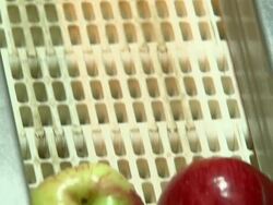 Close Up static - Apples move along a conveyor belt /  Missouri, United States Stock Footage