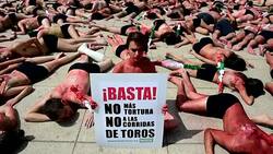 CLEAN : Mexico City protest demands ban on bullfighting News Clip