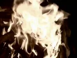 Rolled pages of the writings of Nostradamus burn in a reenactment. Stock Footage