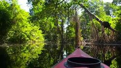 Kayaking in the Cacao Lagoon Stock Footage