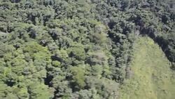 VOICED : Honduras lucha contra la deforestacion del Rio Platano News Clip