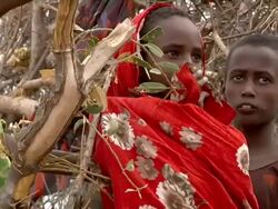 Local village children Stock Footage